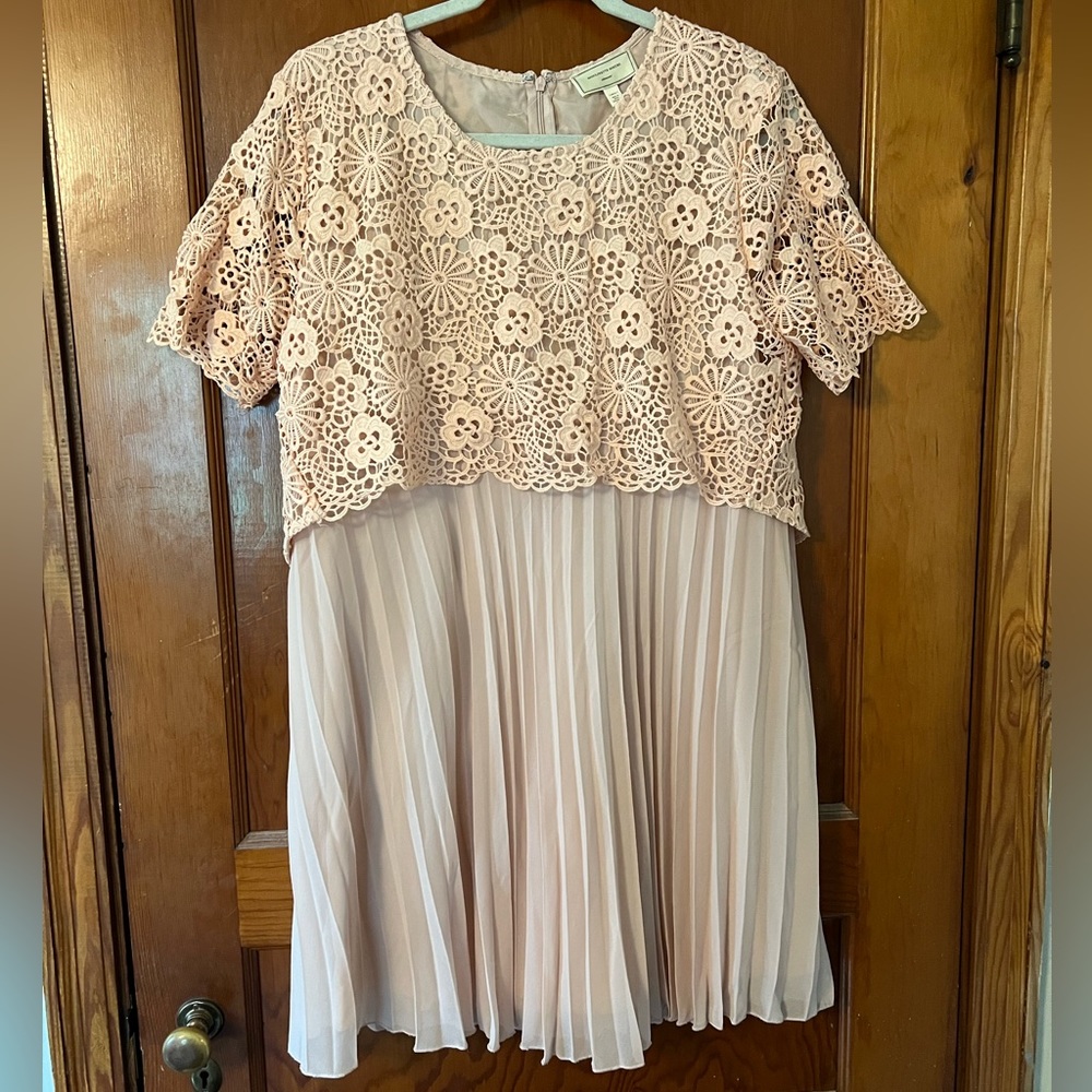 Anthropologie Pink Lace and Pleated Dress Size Large Petite